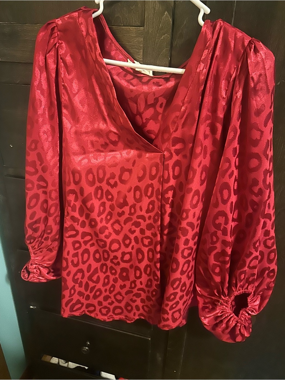 eesome Red Satin Leopard Print V-Neck Blouse